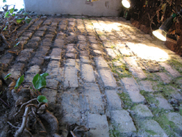 Paving/Landscaping